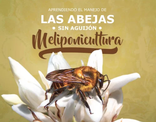 MANEJO DE ABEJAS SIN AGUIJÓN