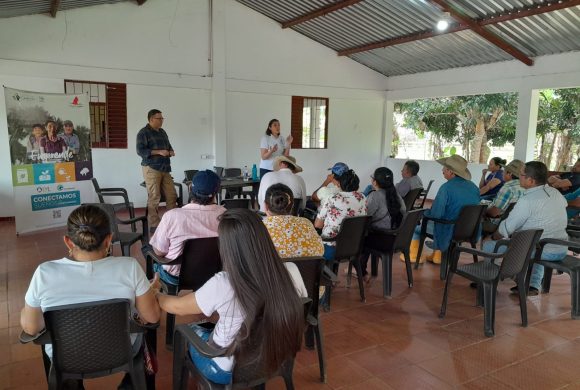 Emprende+ Vive en el territorio