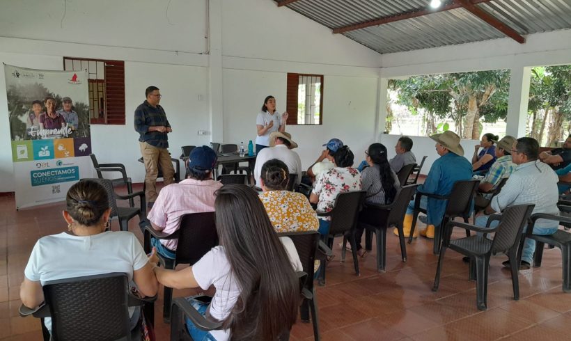 Emprende+ Vive en el territorio