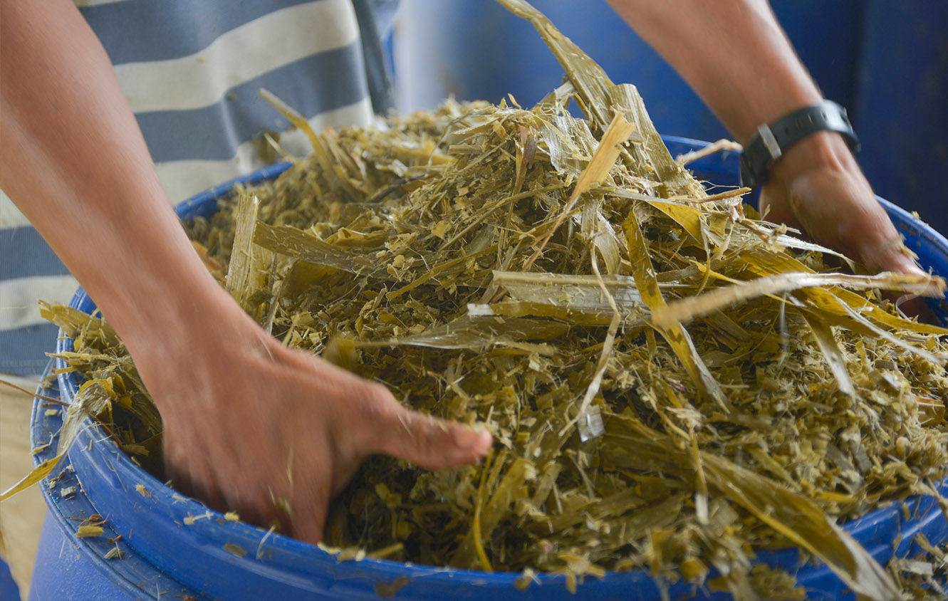 El ensilaje permite almacenar el forraje para alimentar el ganado durante el verano. El ensilaje permite almacenar el forraje para alimentar el ganado durante el verano.